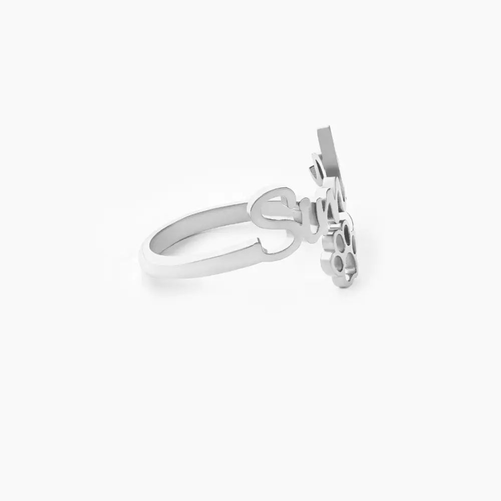 #couleur_argent-animal