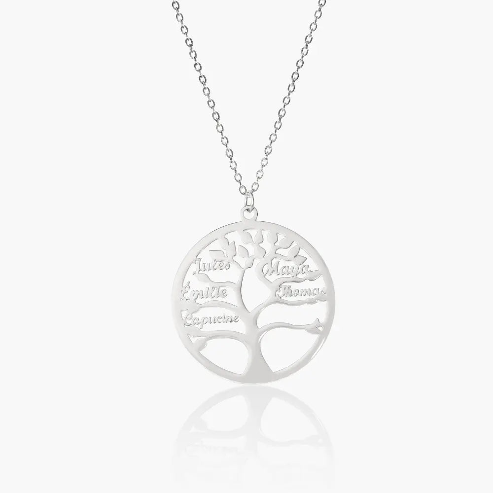 #couleur_argent